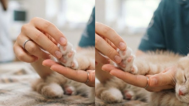 시공 관리의 체계성 설계부터 준공까지 전 과정을 체계적으로 관리합니다.